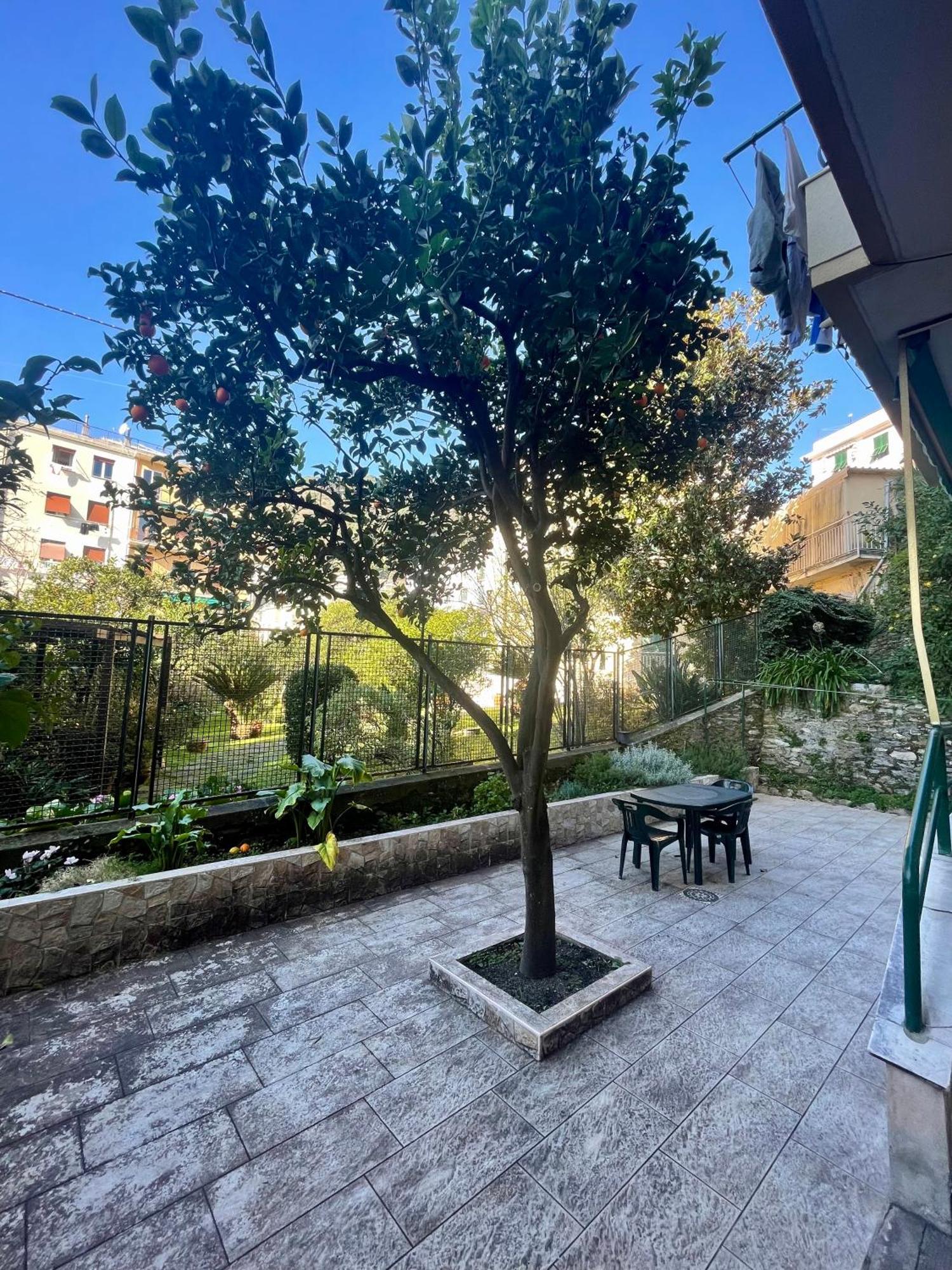 Casa Di Aldo: Una Casa Nel Centro Di Nervi. Genova Eksteriør bilde